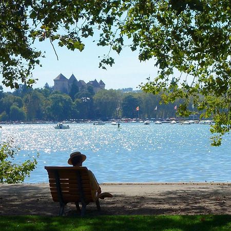 Charmant T3 Renove En Centre-Ville D'Annecy Avec Balcon, Ascenseur Et Parking Prive - Fr-1-432-83 Екстериор снимка